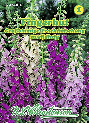 N.L. Chrestensen 543181 Fingerhut Großblumige Prachtmischung (Fingerhutsamen)