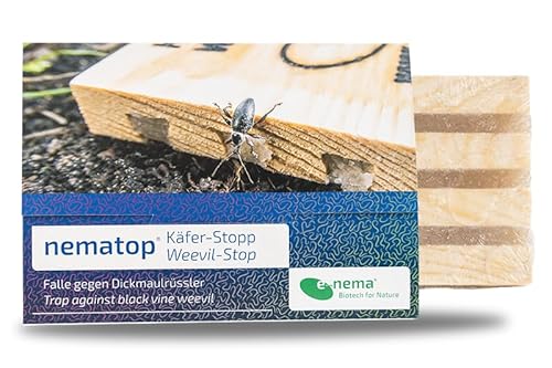 Dickmaulrüssler bekämpfen | e-nema Fangbrett mit SC Nematoden für 5 m² | nematop Käfer-Stopp