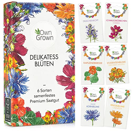 Essbare Blumen Samen Set : Delikatess Blüten Blumensamen Set mit 6 Sorten Blumen Saatgut – Essbare Blüten Samen – Essbare Blumen für Torte – Essbare Blüten Tortendeko – Blumen Essbar von OwnGrown