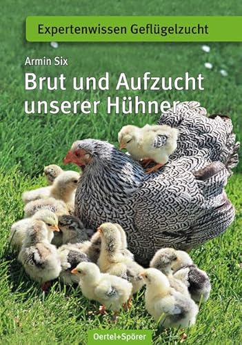 Brut und Aufzucht unserer Hühner (Expertenwissen Geflügelzucht)