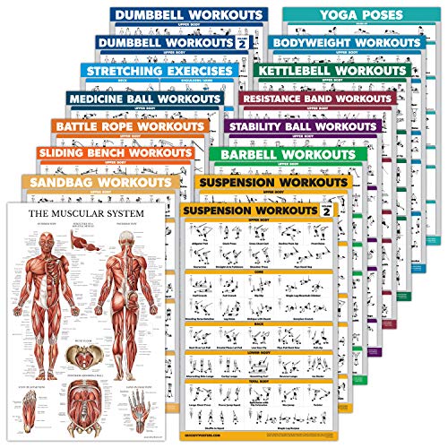 16-teiliges Trainingsposter-Set: Hantel, Aufhängung, Kugelhantel, Bänder, Medizinball, Kampfseil, Stretching, Körpergewicht, Langhantel, Yoga, Gymnastikball (Papier – nicht laminiert, 45.7x61 cm) cm)