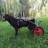 ZHANGshouf Pet Wheels Großer Hunderollstuhl, Verstellbarer Hunde-Haustierrollstuhl, Rehabilitation der Hinterbeine, Unterstützung der Hinterbeine, L