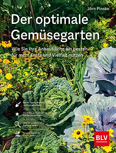 Der optimale Gemüsegarten: Wie Sie Ihre Anbaufläche am besten für mehr Ernte und Vielfalt nutzen