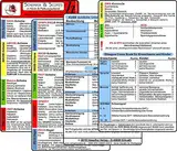 Schemata & Scores in Klinik & Rettungsdienst (2 Karten Set) - SSSS-Schema, ABCDE-Schema, Basics-Schema, IPAP-Schema, SAMPLER(!)S, WASB, FAST, OPQRST, PECH-Regel, DMS, 4Hs, HITS, GCS, KUSS, APGAR