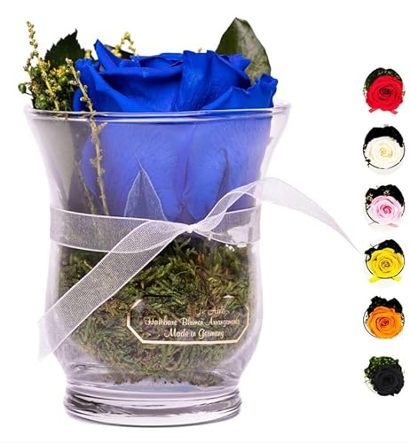 Rosen-Te-Amo | Infinity Rosen | konservierte ewige Rose blau in der Glas Vase | duftend | handgefertigt Deko-Foliage | feines Design || Geburtstagsgeschenk Frauen Mama Freundin Oma