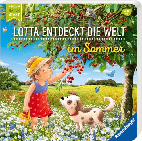 Entdecke den Sommer mit Lotta (Mein Naturstart)