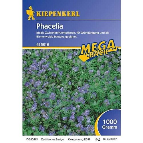 Phacelia -1 kg Gründünger Mega-Pack