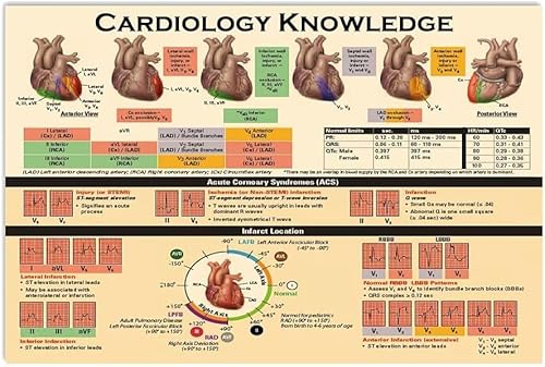 Kardiologie-Wissens-Metallschilder, Wanddekoration, Kardiologie-Infografik-Poster, Ärztebüro, pädagogische Dekorationen, Zuhause, Krankenhauszimmer, 20,3 x 30,5 cm
