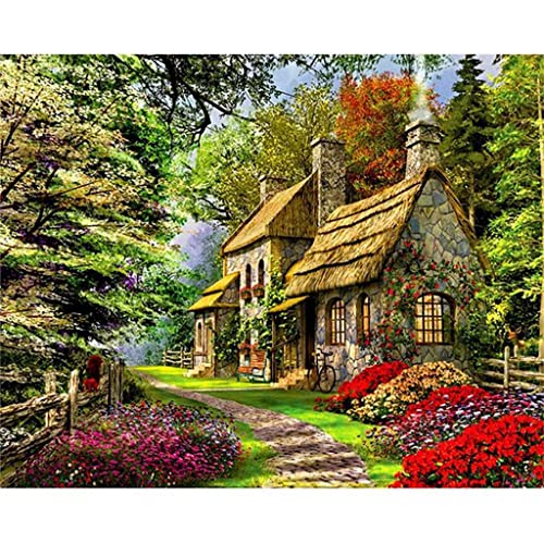 VNLMKS Diamant Malerei Kits, DIY 5D Diamond Painting Set, Crystal Strass Stickerei Kreuzstich Gartenhausbau Nach Zahlen Diamant Painting Bilder Arts Craft für Home Wand Decor 50x60 cm