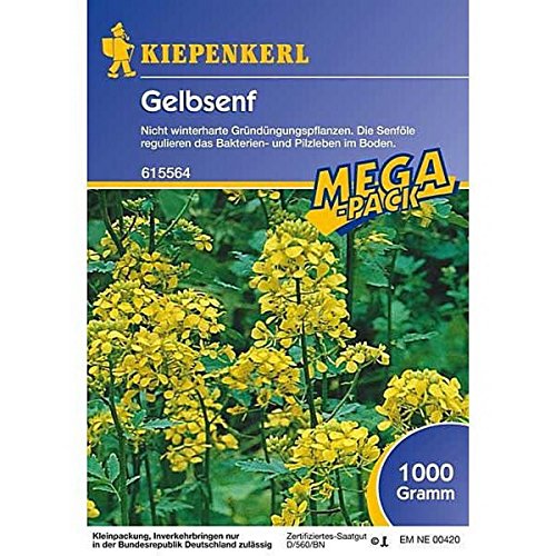 Kiepenkerl, Gründünger gelbsenf 1 Kg