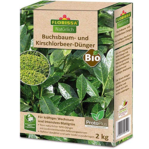 Florissa BIO Kirschlorbeerdünger 2Kg Buchsbaum und immergrüne Pflanzen mit ProtoPlus für ein intensives Grün | haustierfreundlich