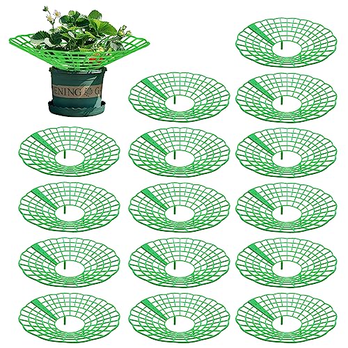 Aimeke 15 Stück Erdbeerreifer & Fruchtreifer erdbeeren, Erdbeerstützen Ständer, Erdbeerregal, Abnehmbares Pflanzenregal für Erdbeeren Pflanzen, Schneckenschutz und Schutz vor Fäulnis Schimmel