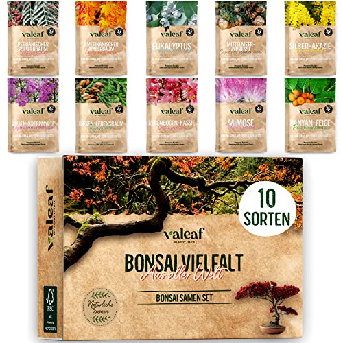 10 Bonsai Samen aus 5 Kontinenten I Exotische Baum Samen für deinen einzigartigen Bonsai Baum I Bonsai Starter Kit für Anfänger und Pflanzen Verrückte I Unser Bonsai Set als besondere Geschenkidee