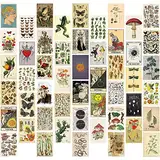 WAIZHIUA 50 Stück Vintage Botanical Wall Collage Kit - Aesthetic Wandcollagen Set Indie Room Décor - Bilder Wand Collage Druck Kit - Fotowand Collage für VSCO Poster Mädchen und Jungen Teens