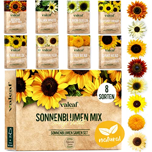 valeaf Sonnenblumen Samen Set - 8 Sorten Sonnenblumensamen - Sonnenblume Blumensamen im praktischen Pflanzen Set - Sommerblumen Samen Wildblumenmischung - Blumen Samen zum Pflanzen