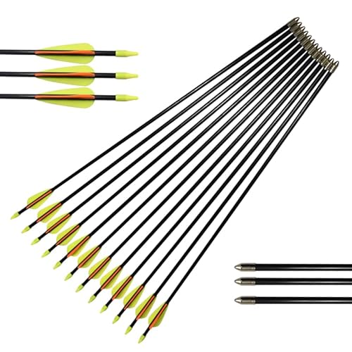 12 Stück Pfeile für Bogenschießen 30/28/26 Zoll Bogen Pfeil Übungspfeile Fiberglaspfeile für Anfänger Pfeil und Bogen Zielübung