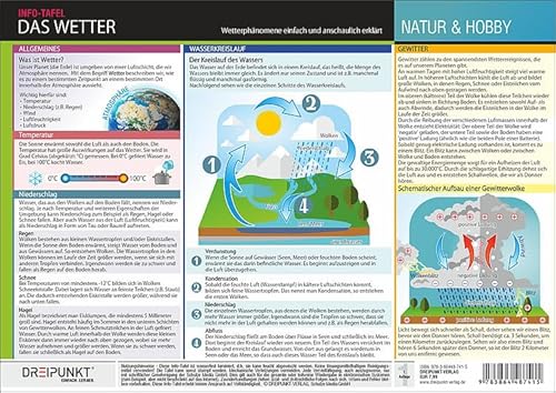 Das Wetter: Wetterphänomene einfach und anschaulich erklärt