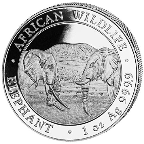 Generisch Somalia Elefant 1 Unze Silbermünze 2020, Feinsilber 999/1000, in Münzkapsel, 31,1 Gramm