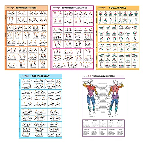 SPORTAXIS laminierte Workout-Poster für daheim ohne Geräte, Farbabbildungen, Bodyweight-Grund-/Aufbauübungen, Yoga, Abs-Training für Männer und Frauen, 45,7 x 68,6 cm, 5 Stück, englische Version