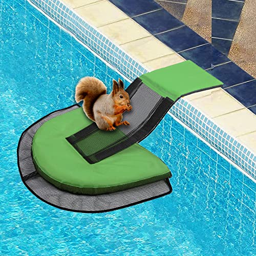 rettungsinsel pool Tiere,pool treppe innen,skamper ramp,pooltreppe für Hunde,pool für Katzen,ausstiegshilfe pool für Tiere,pool Tier fluchtrampe,Schwimmendes Tierrettungswerkzeug für Schwimmbecken