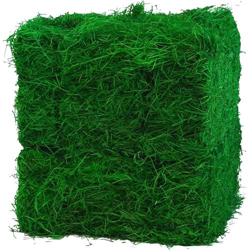 Doubleyou Geovlies & Baustoffe 1 Kilogramm (1Kg) Grünes Ostergras | Perfekt für Oster-Deko | Holzwolle 100% gefärbt | Ideal als Füllmaterial oder zur Dekoration | In Deutschland hergestellt