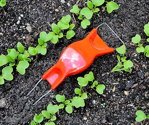 Schwedische Jätefaust, Handjäter, Unkrautjäter, Rot von Bobby-Seeds